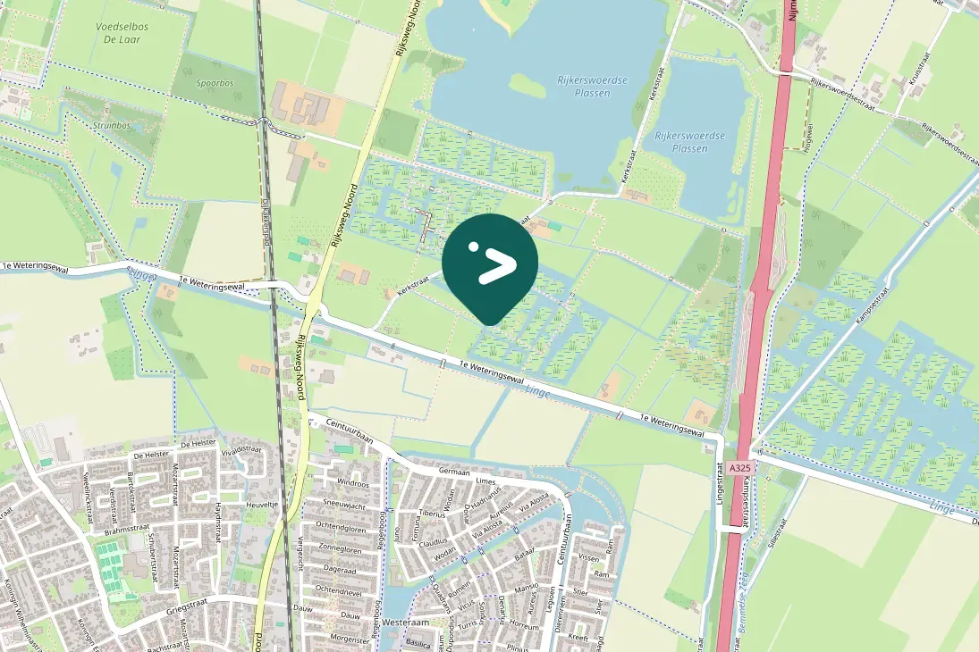 Spotted Little Egret