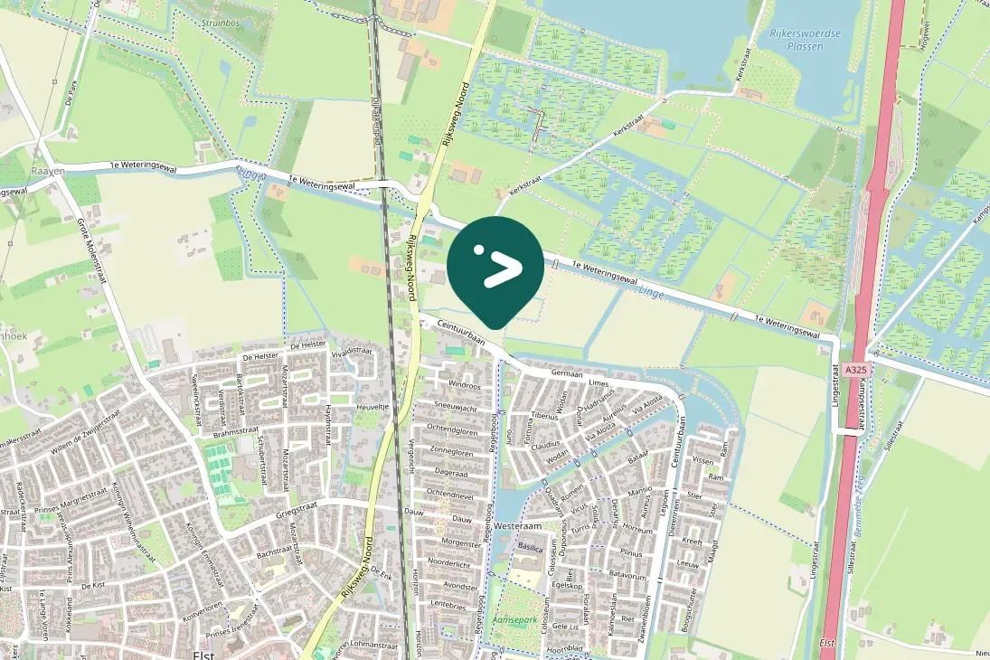 Spotted European Stonechat