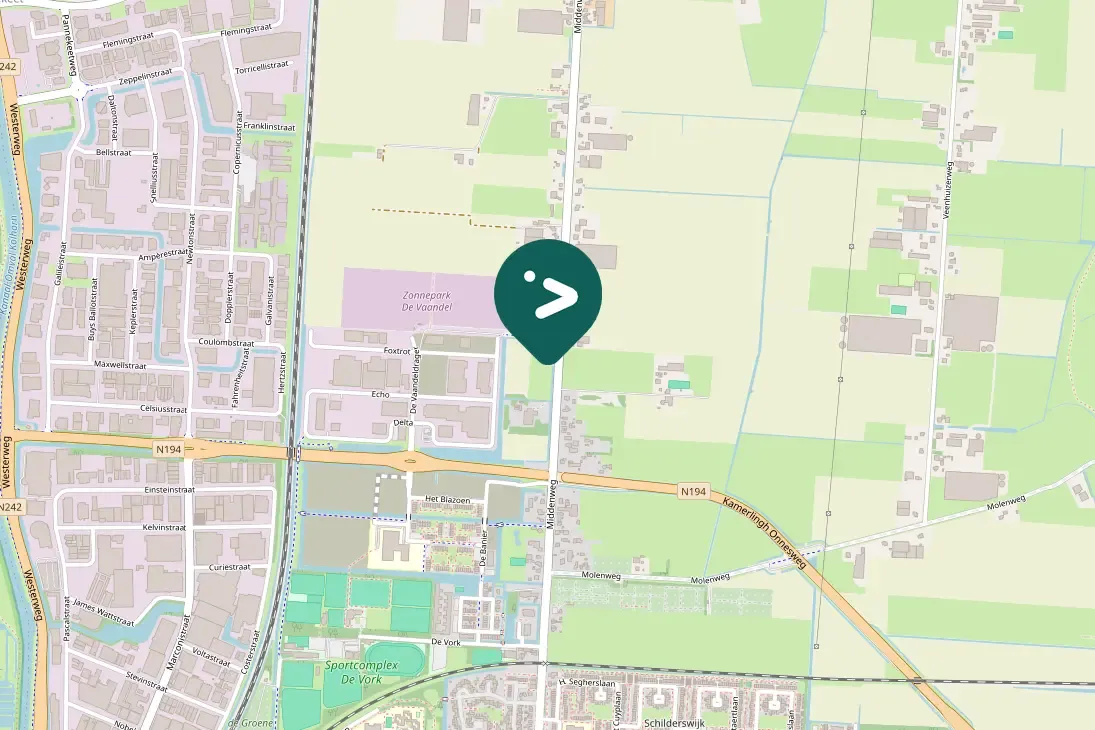 Spotted Gray Partridge