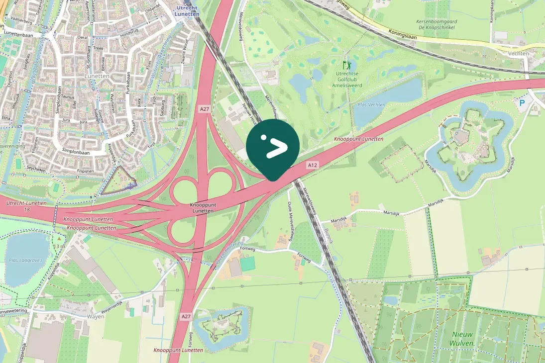 Spotted Graylag Goose