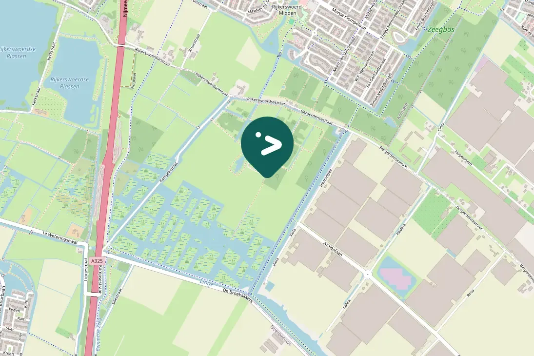 Spotted Western Yellow Wagtail