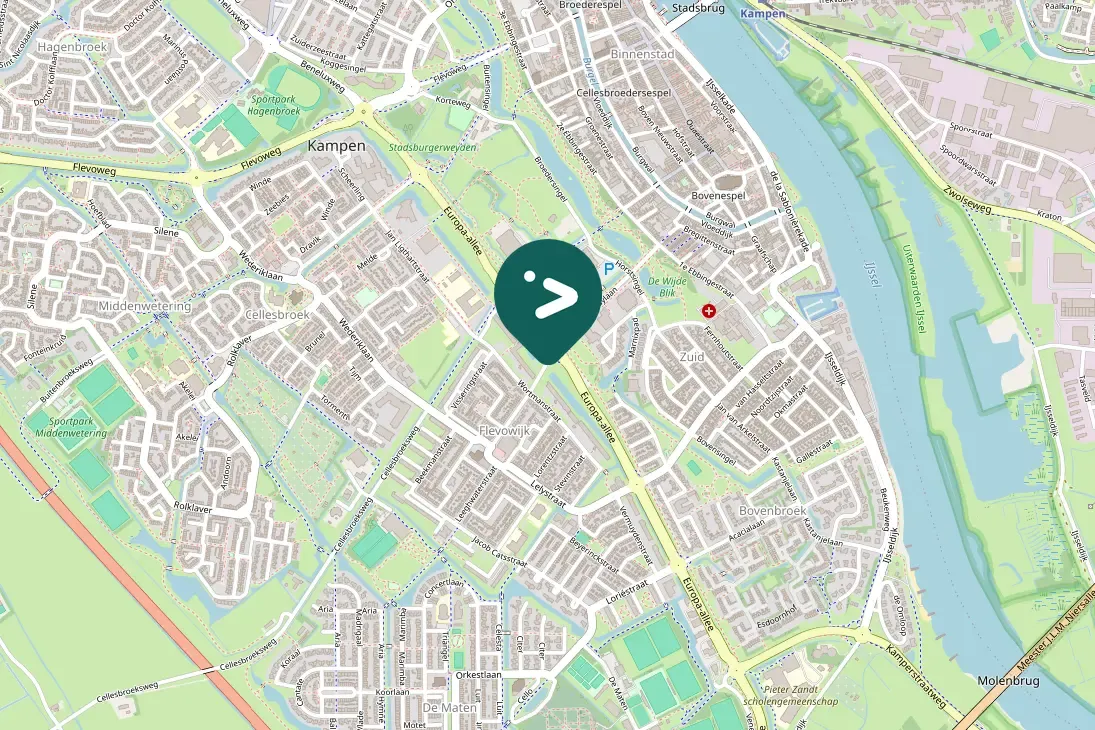 Spotted Canada Goose