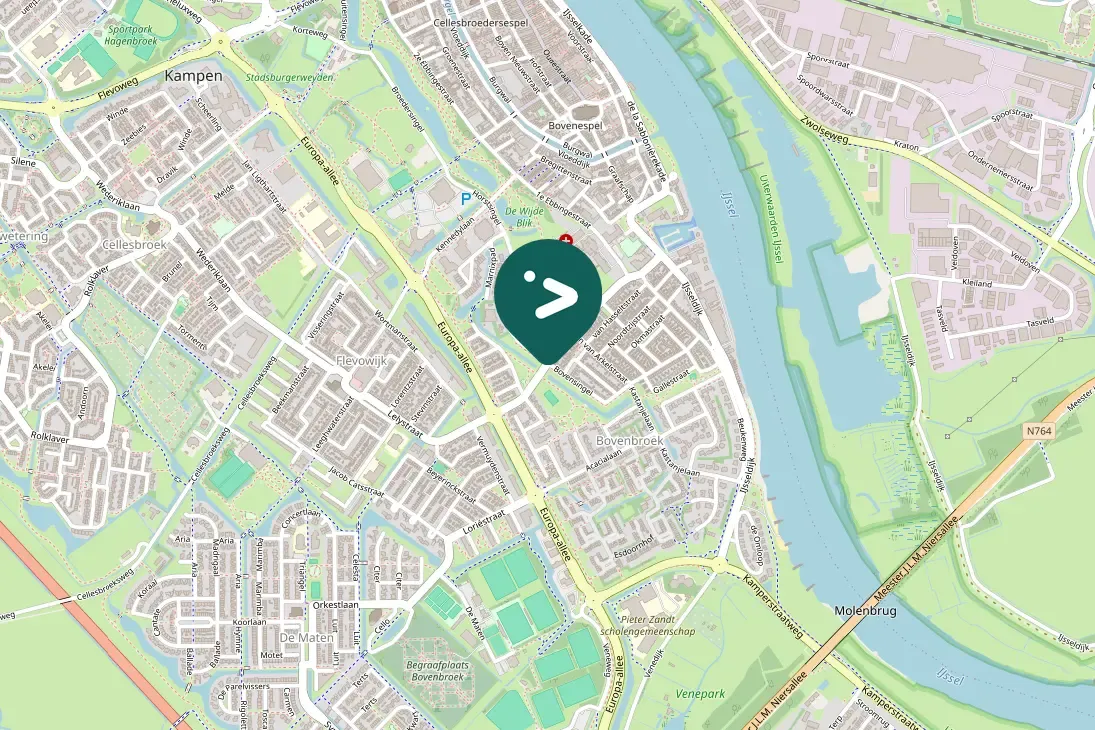 Spotted European Herring Gull