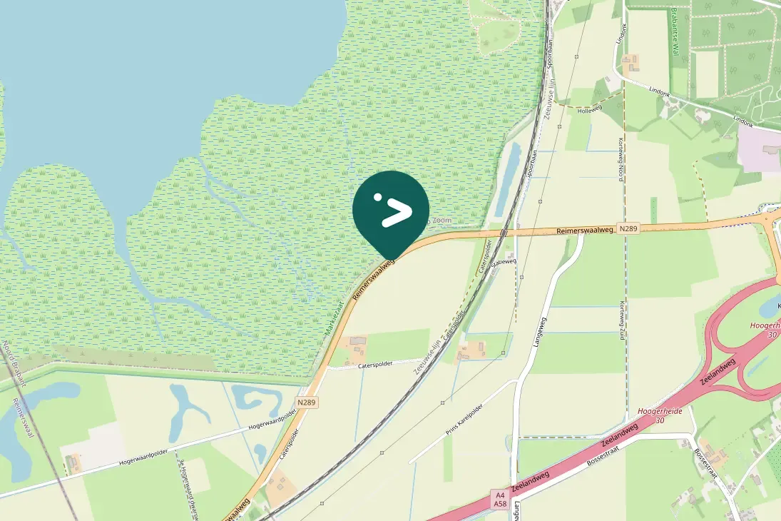 Spotted Egyptian Goose