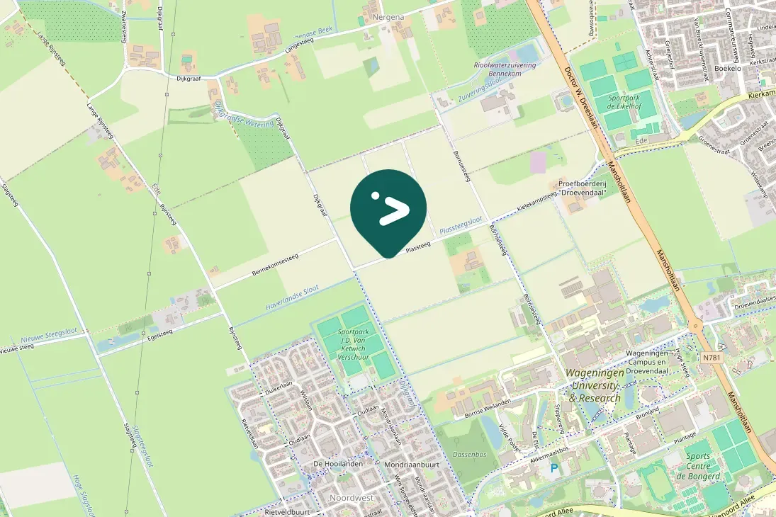 Spotted Eurasian Linnet