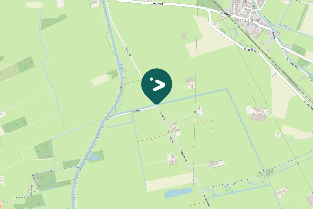 Spotted White Wagtail