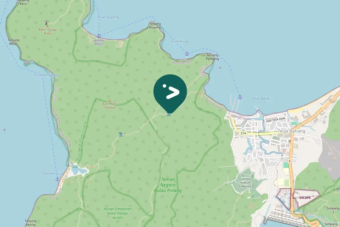 Spotted Asian Fairy-bluebird