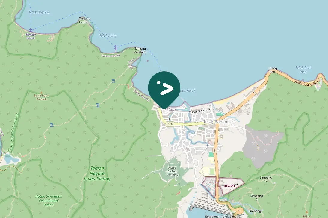 Spotted Coppersmith Barbet