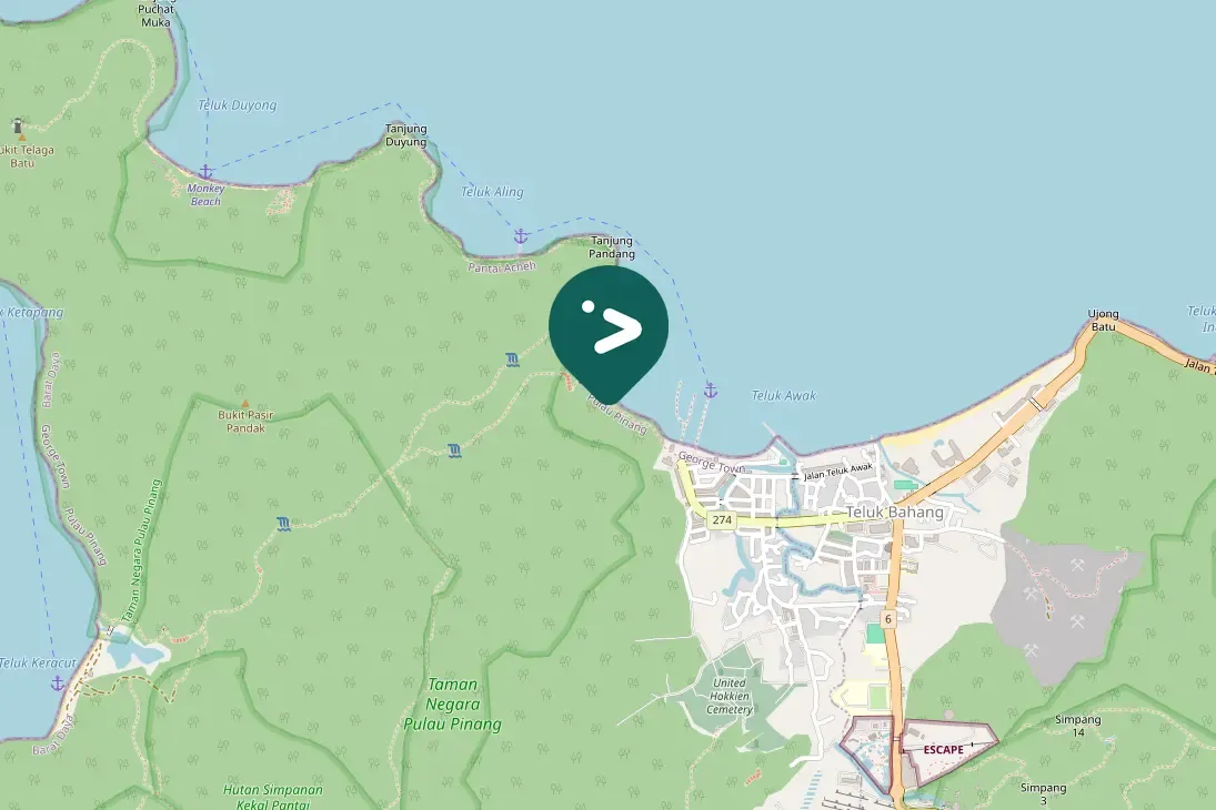 Gespotte Purperhoningzuiger