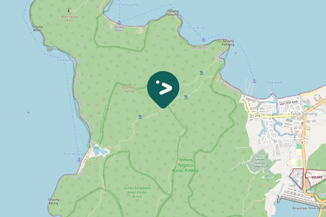 Spotted Eurasian Hoopoe