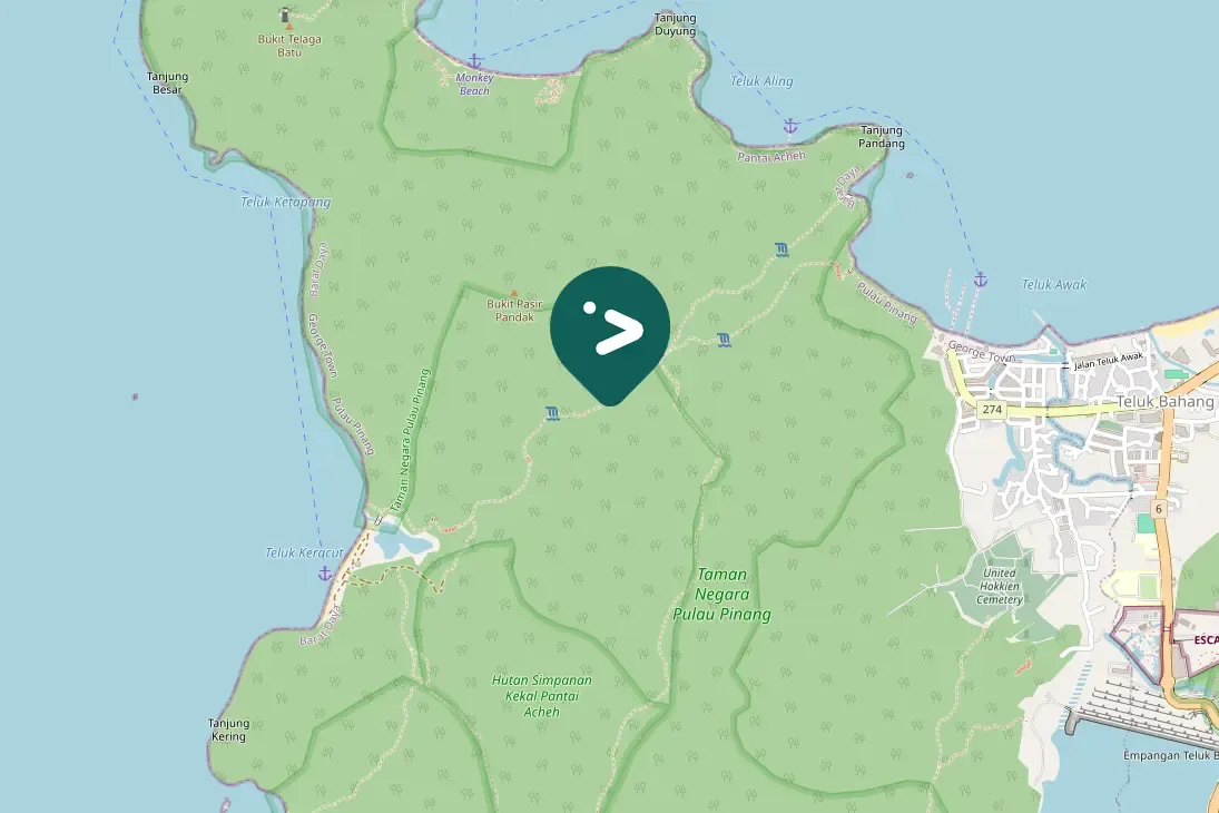 Spotted Savanna Nightjar