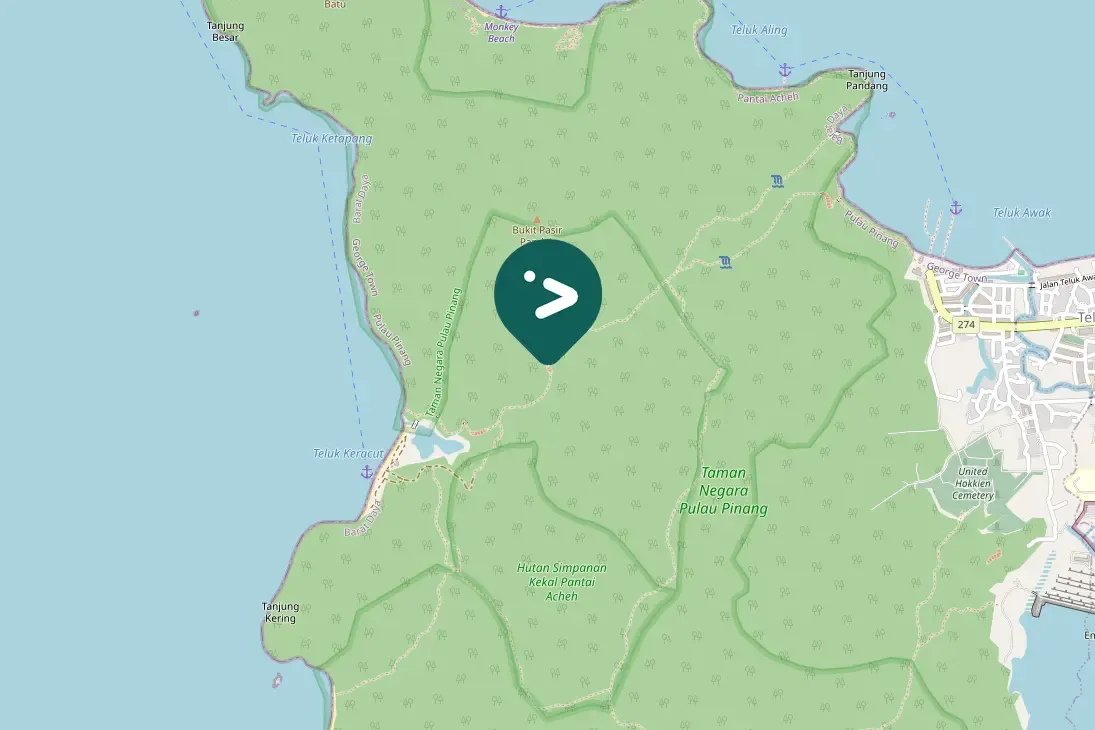 Spotted Javan Leafbird