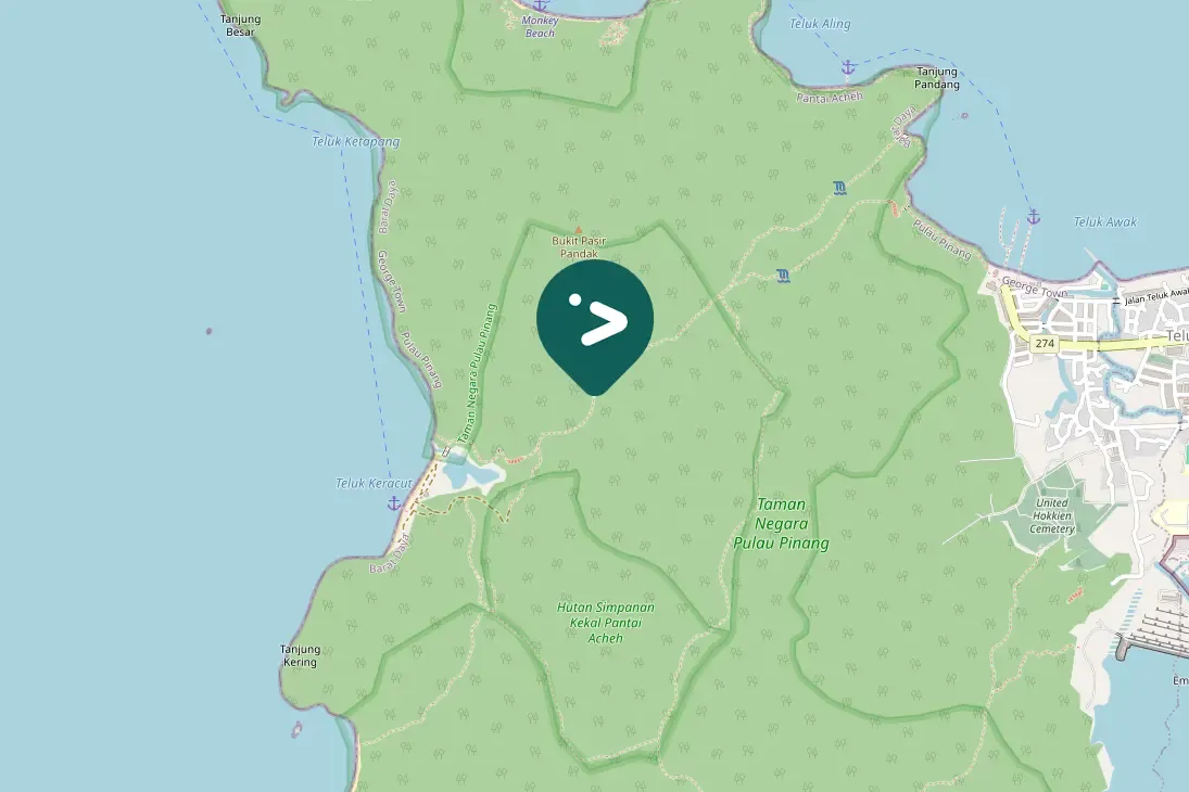 Gespotte Geelrughoningzuiger