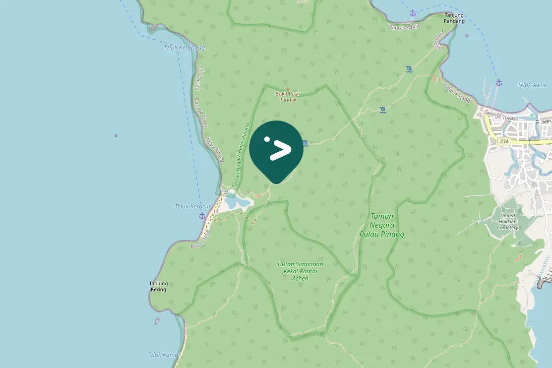 Spotted Short-tailed Babbler