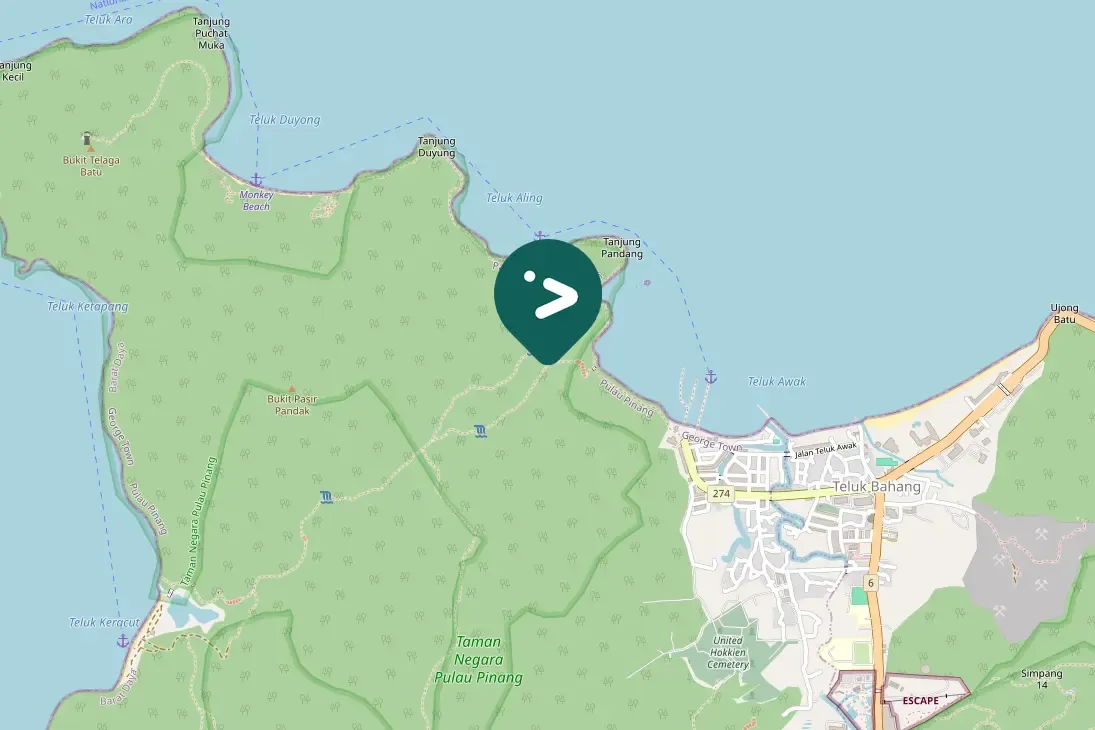 Spotted Stork-billed Kingfisher