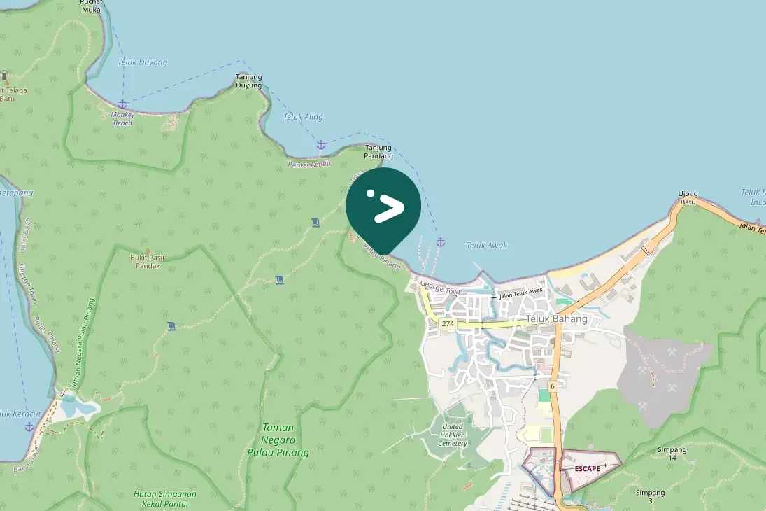 Spotted Arctic Warbler