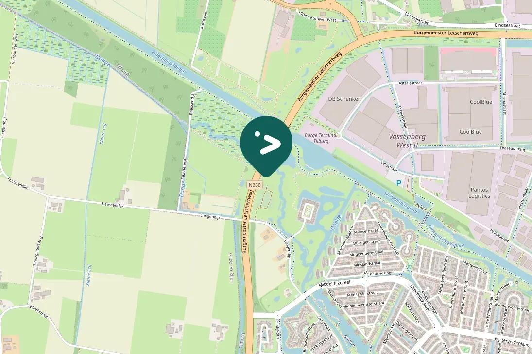 Spotted Eurasian Linnet