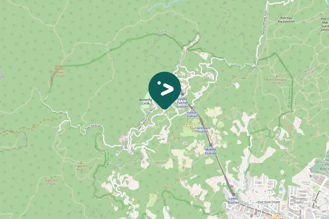 Spotted Puff-throated Babbler