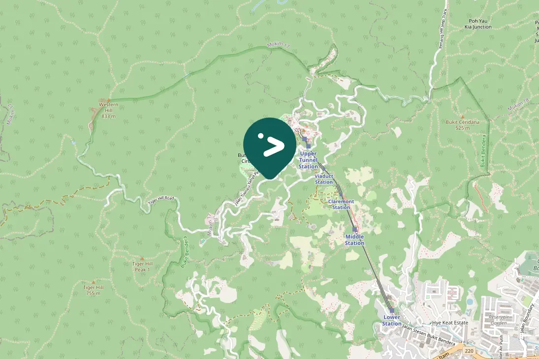 Spotted Western Hooded Pitta