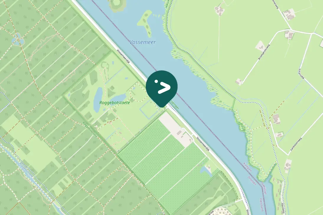 Spotted Willow Warbler