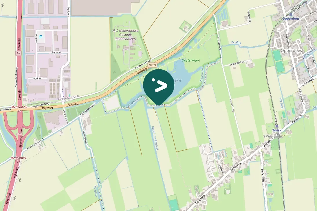 Spotted Barnacle Goose