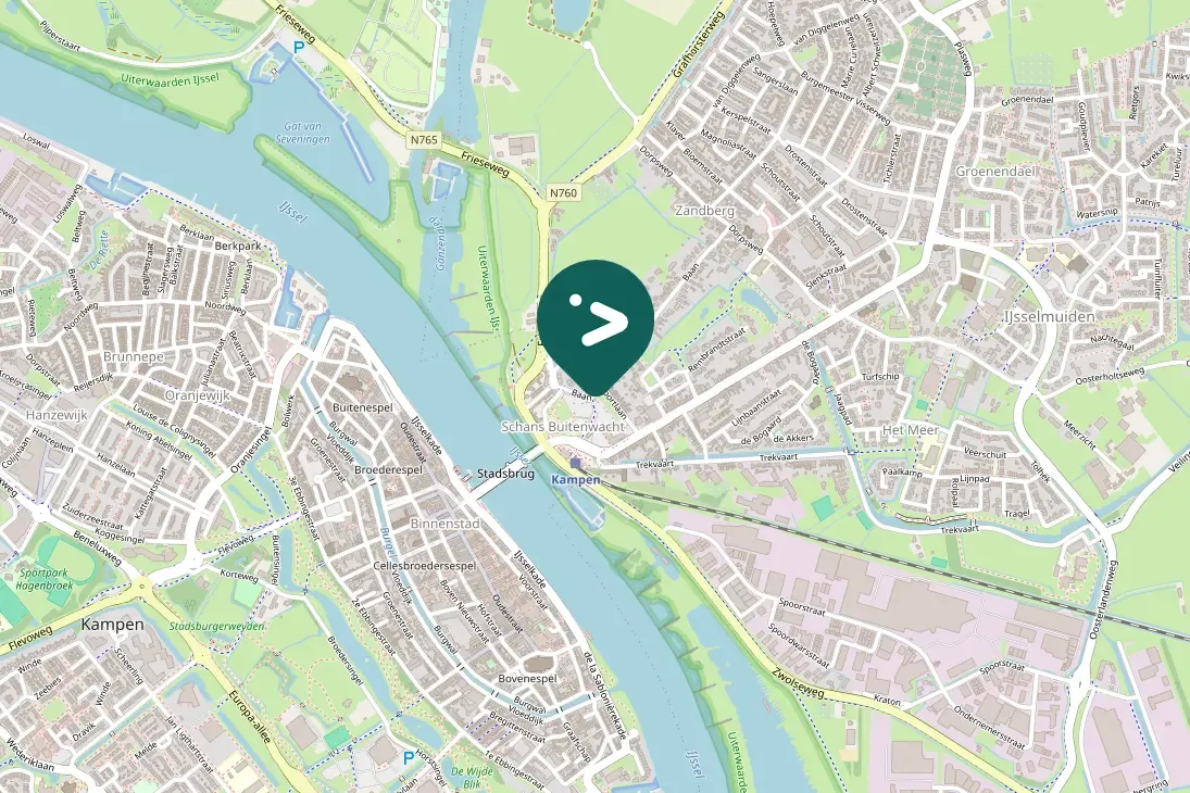 Spotted Egyptian Goose