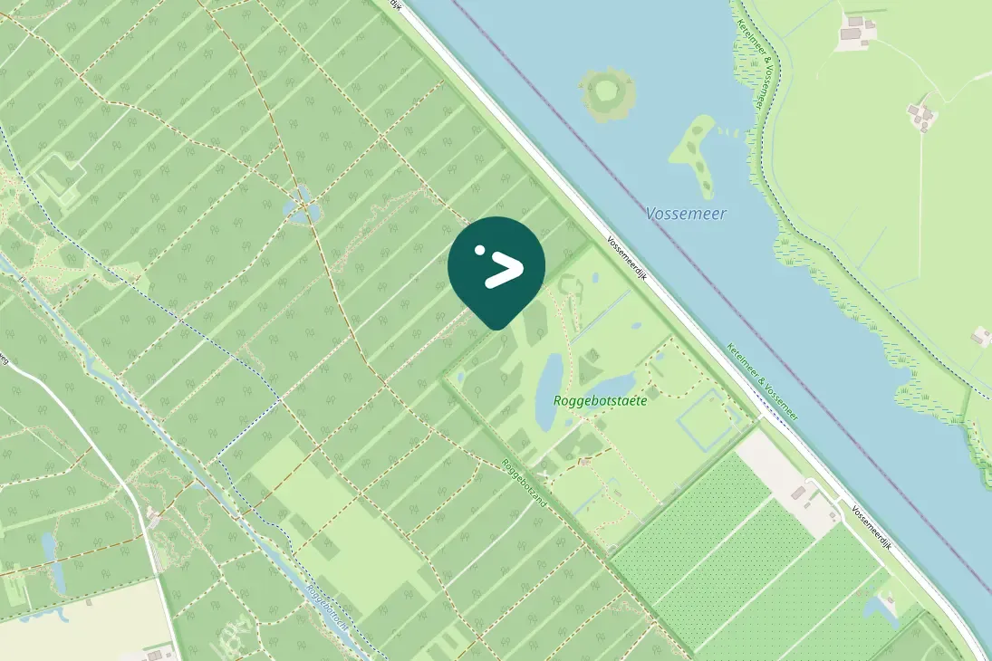 Spotted Great Spotted Woodpecker