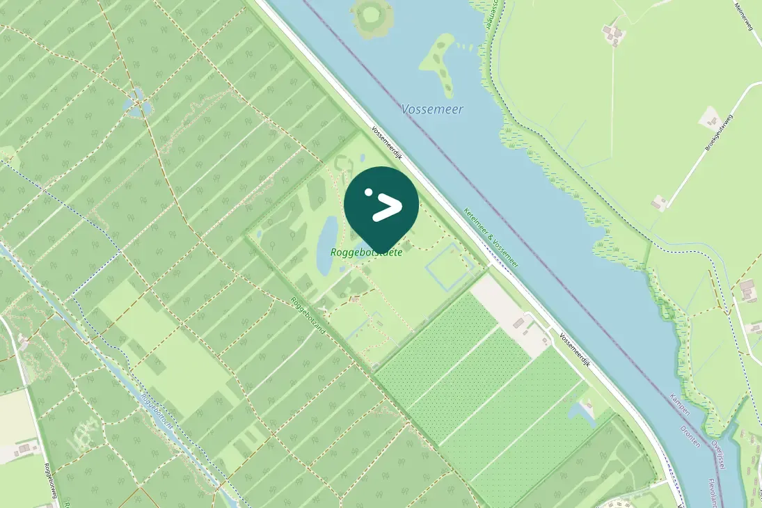 Spotted Common Pochard