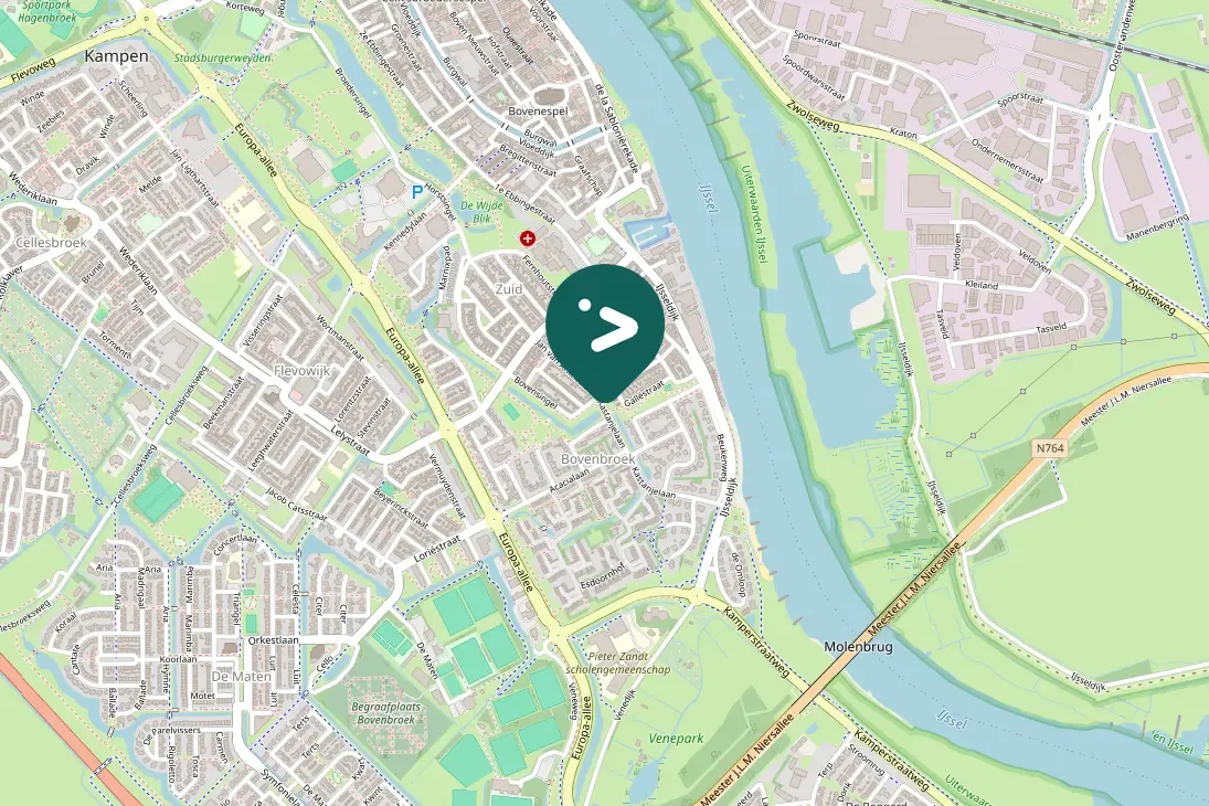 Spotted Eurasian Moorhen