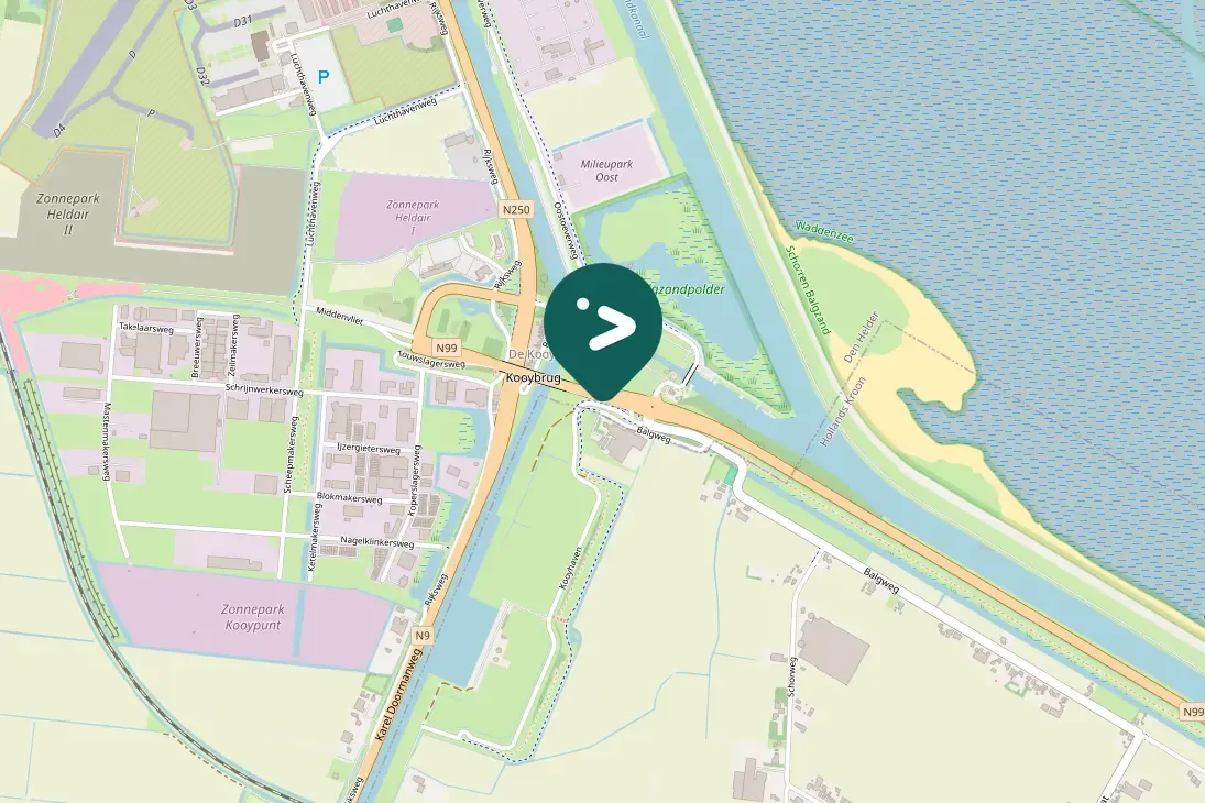 Spotted Common Shelduck