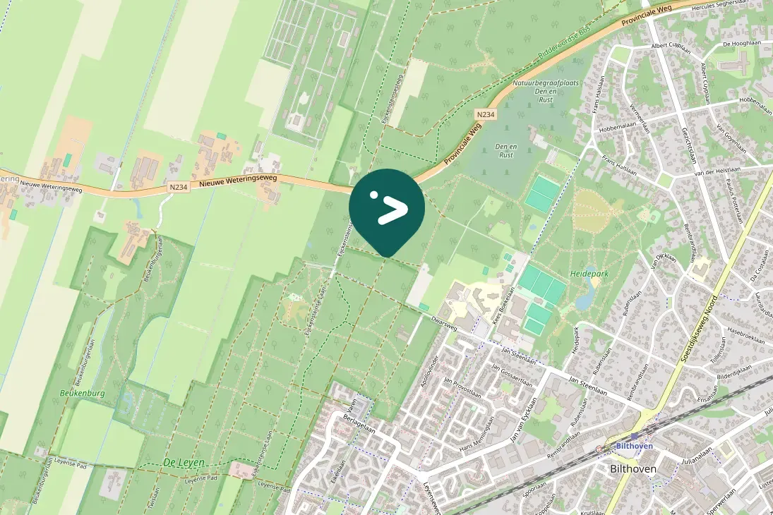 Spotted Black Woodpecker