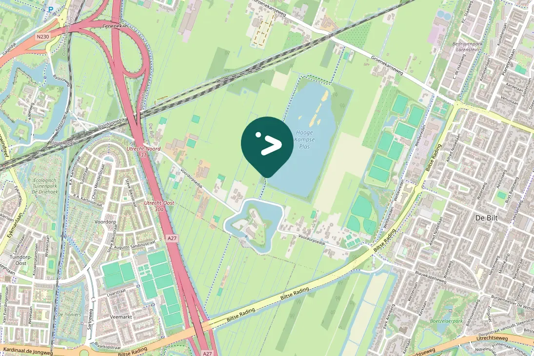 Spotted Northern Shoveler