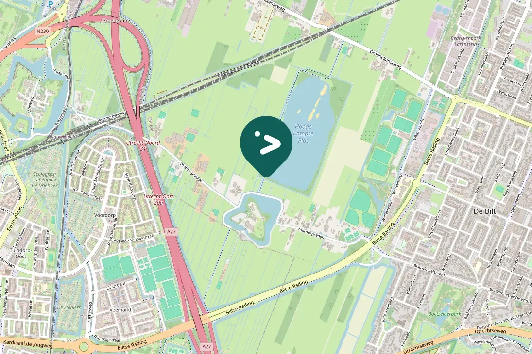 Spotted Common Kingfisher