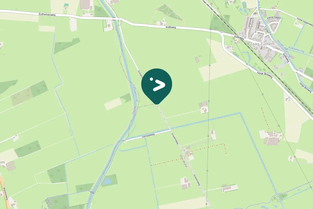 Spotted Black-tailed Godwit