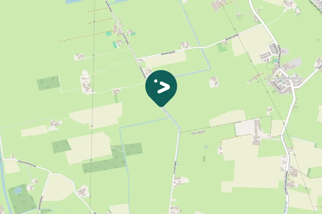 Spotted Eurasian Curlew