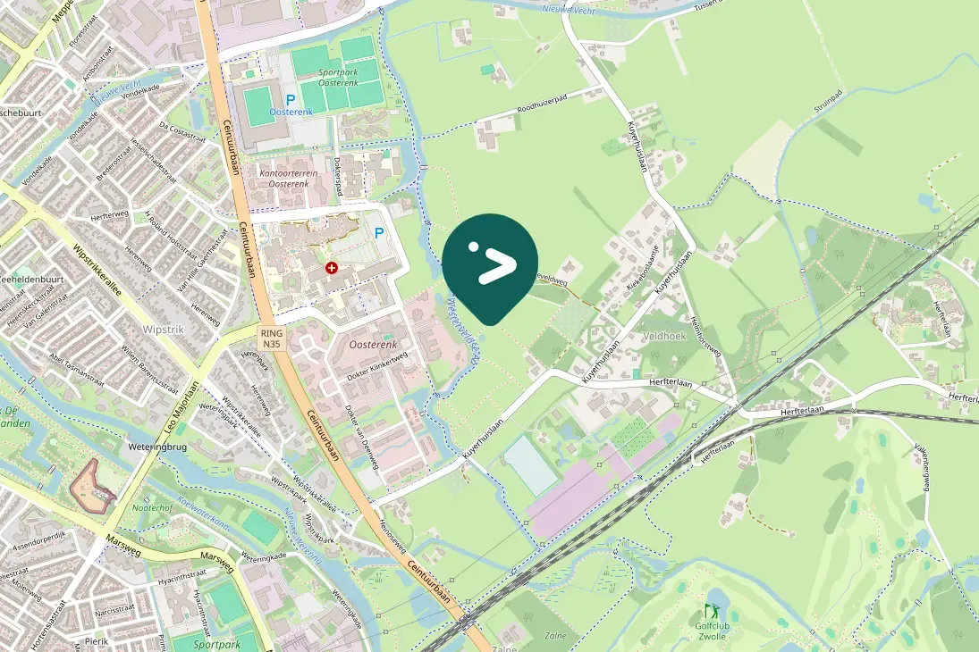 Spotted Graylag Goose