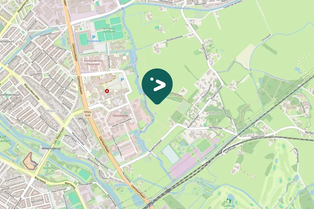 Spotted Eurasian Coot