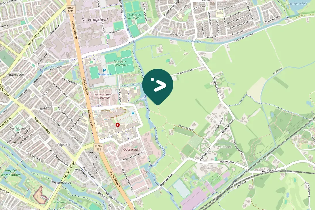 Spotted Eurasian Wren