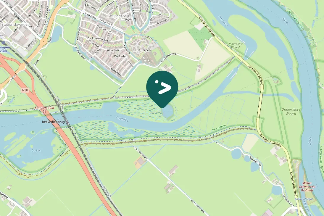 Spotted Green-winged Teal