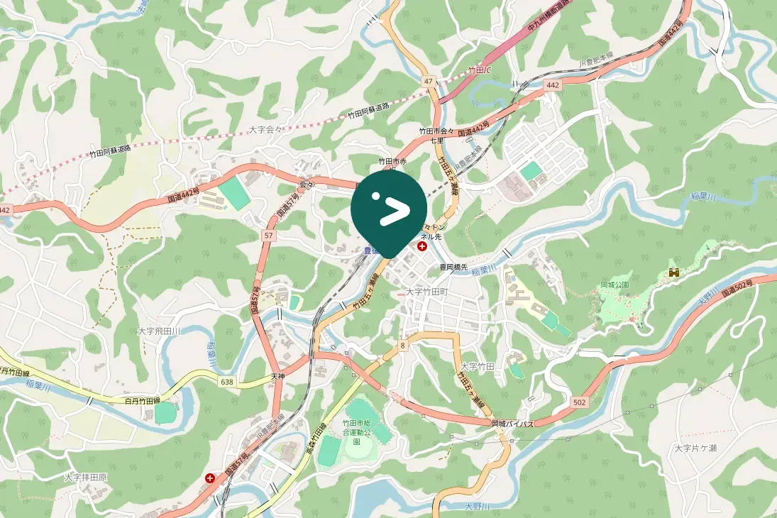 Spotted White Wagtail