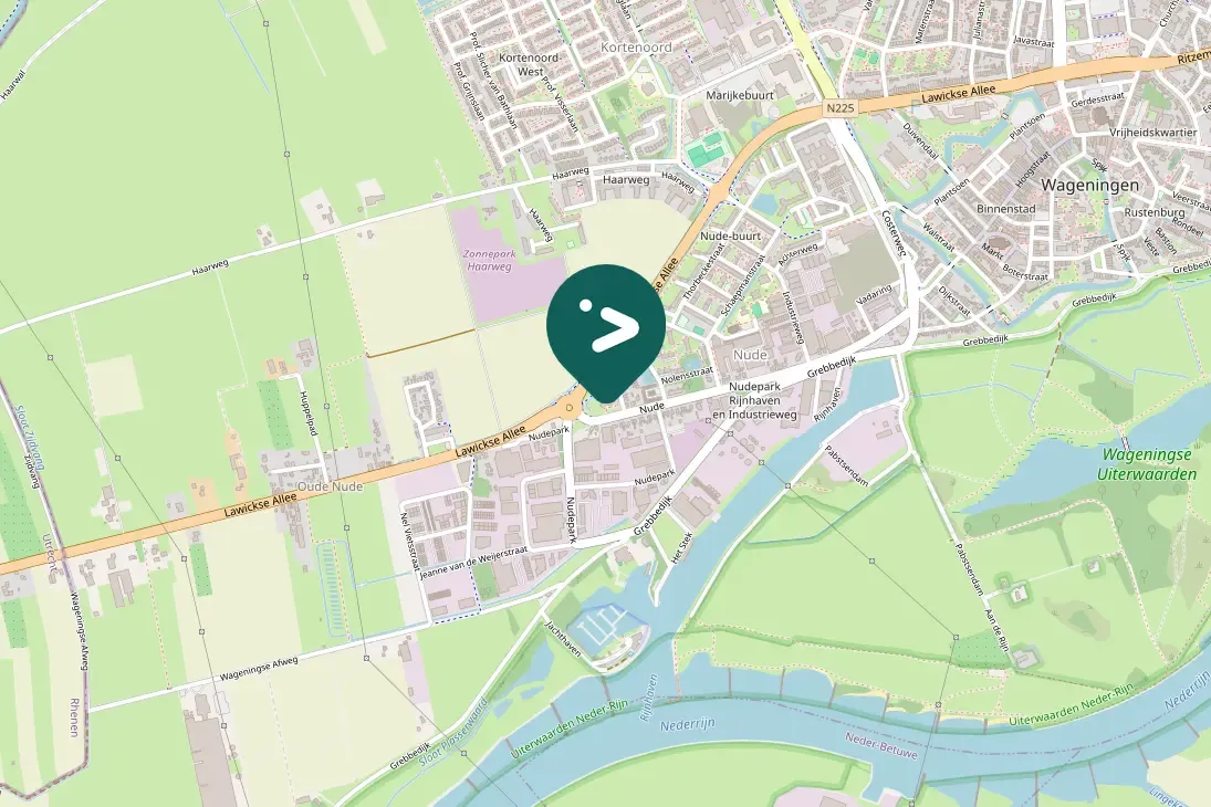 Spotted Willow Warbler