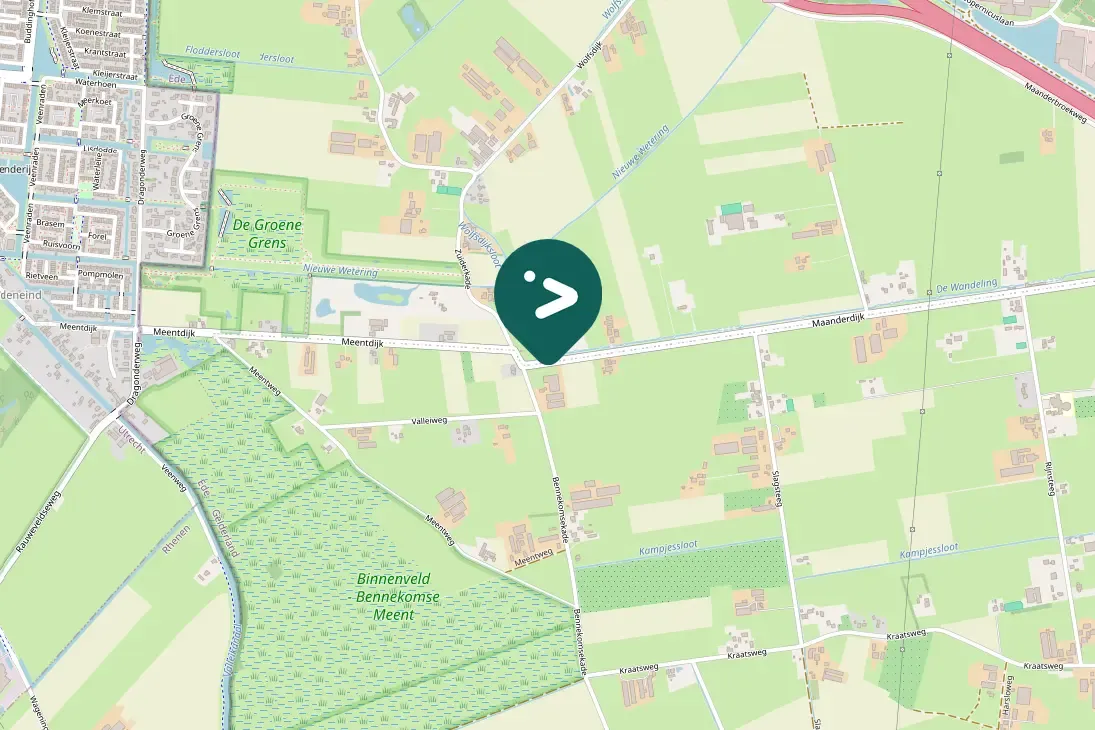 Spotted Black Redstart