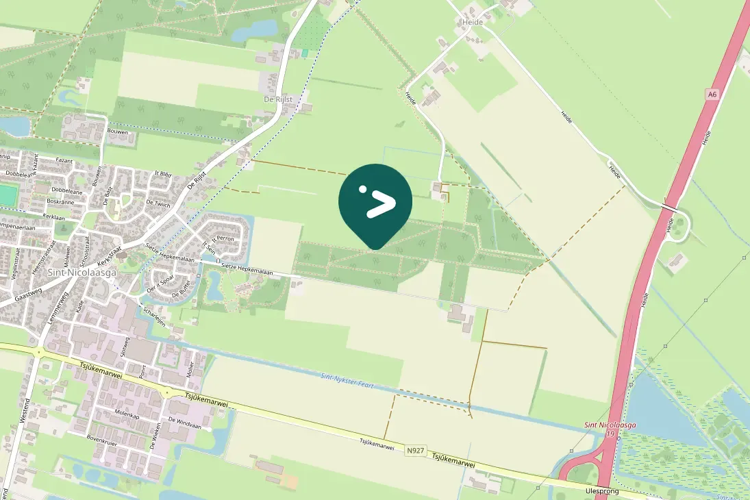 Spotted Short-toed Treecreeper