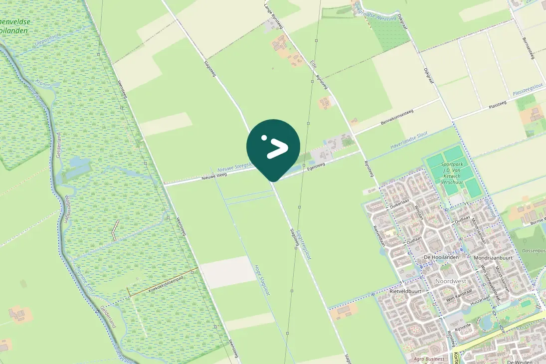 Spotted Eurasian Tree Sparrow