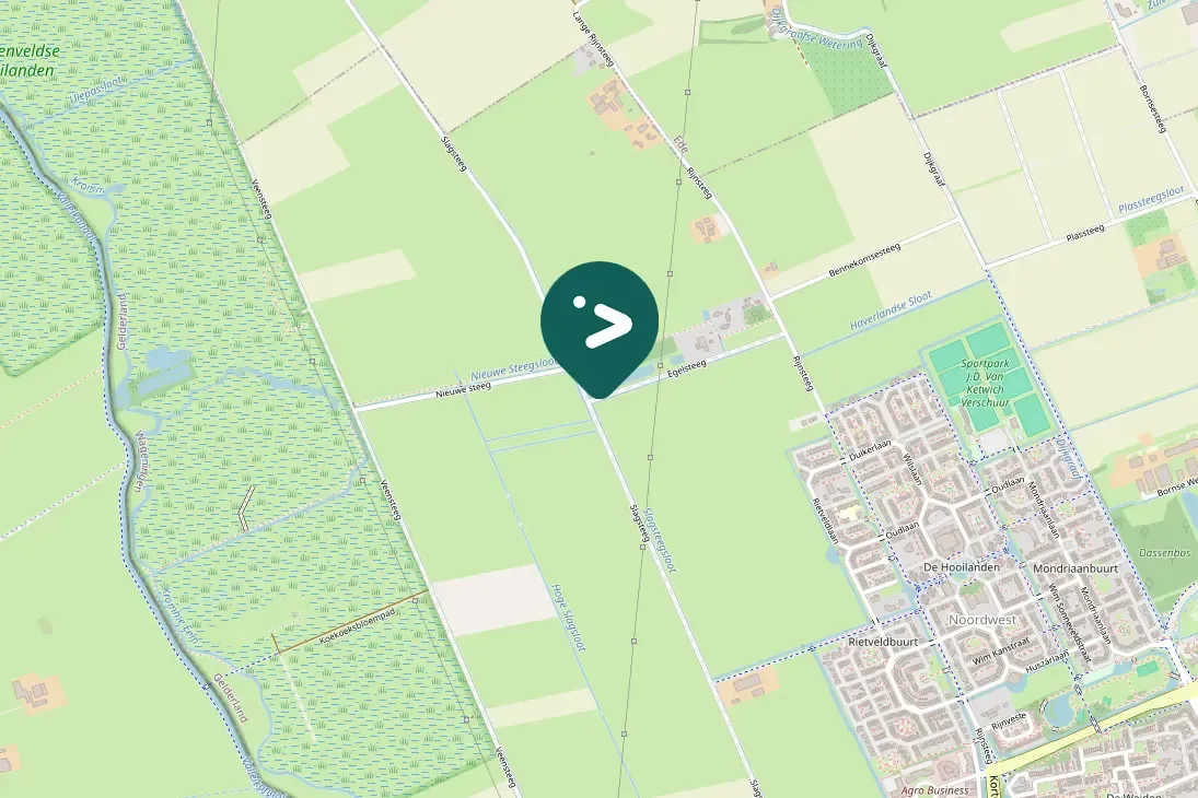 Spotted Little Grebe