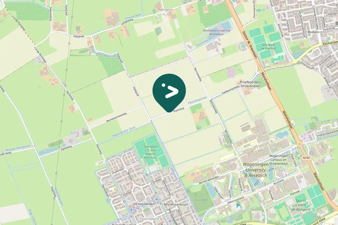 Spotted Common Quail