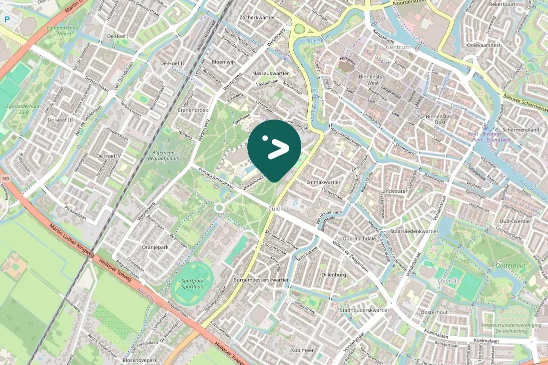 Spotted Eurasian Spoonbill