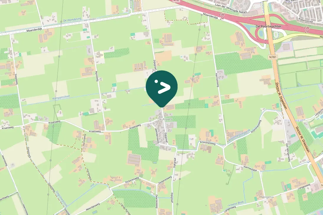 Spotted Barn Swallow