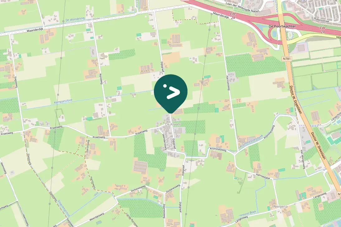 Spotted Eurasian Green Woodpecker