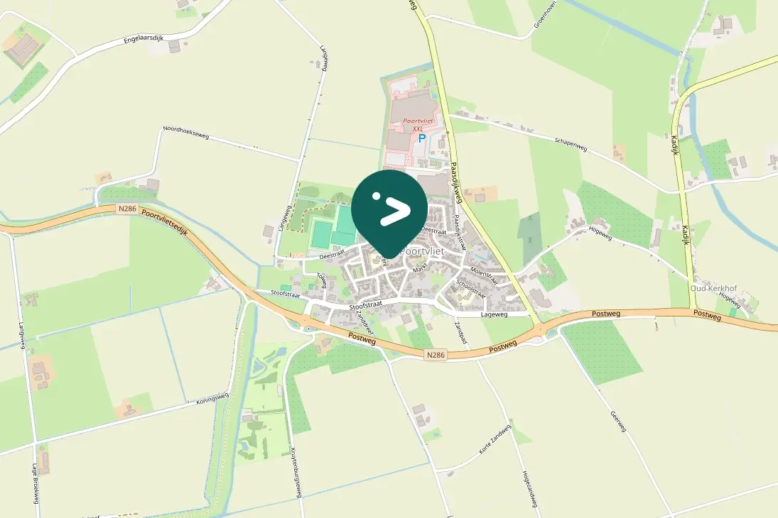 Spotted Eurasian Collared-Dove